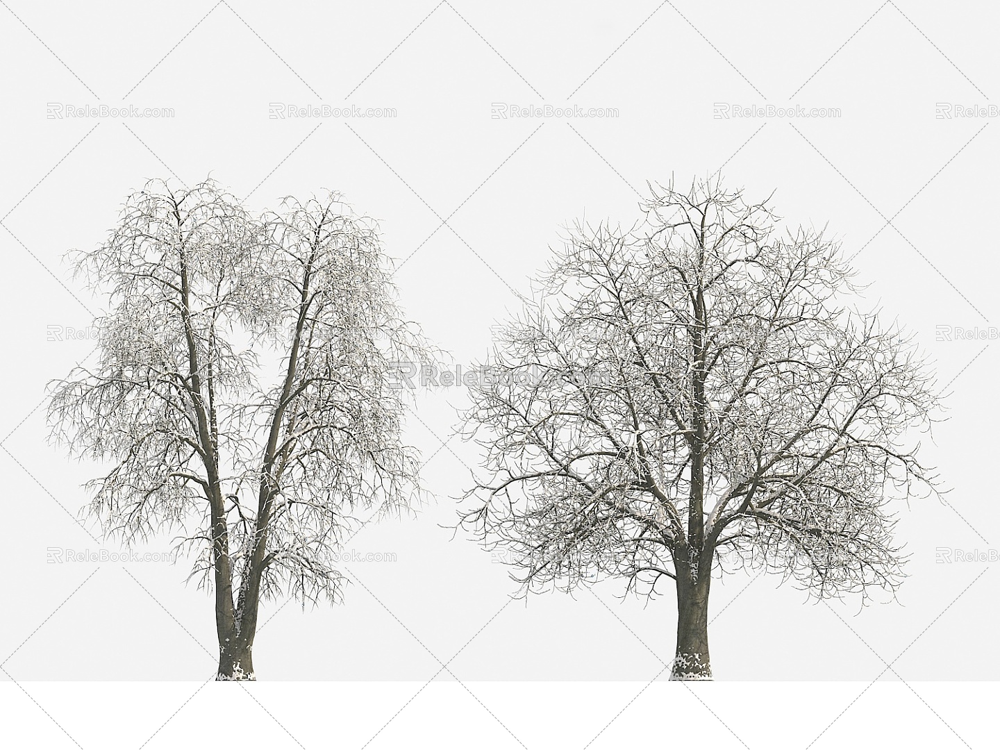 Plant Tree Snow Tree Winter Tree Big Tree 3d model