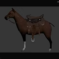 Equestrian Character And Brown Horse With Saddle Bridle Standing On Dark Gray Background