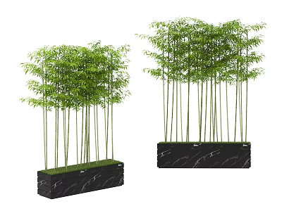 Decorative Bamboo Plants With Green Leaves And Slender Stems In Black Marble Planters 3d model