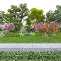 Garden Landscape Design With Various Trees Colorful Foliage Green Lawn And Stone Pathway