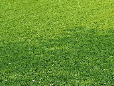 Natural Style Decorative Ornament Set With Green Grass Background For Garden Decor 3d model