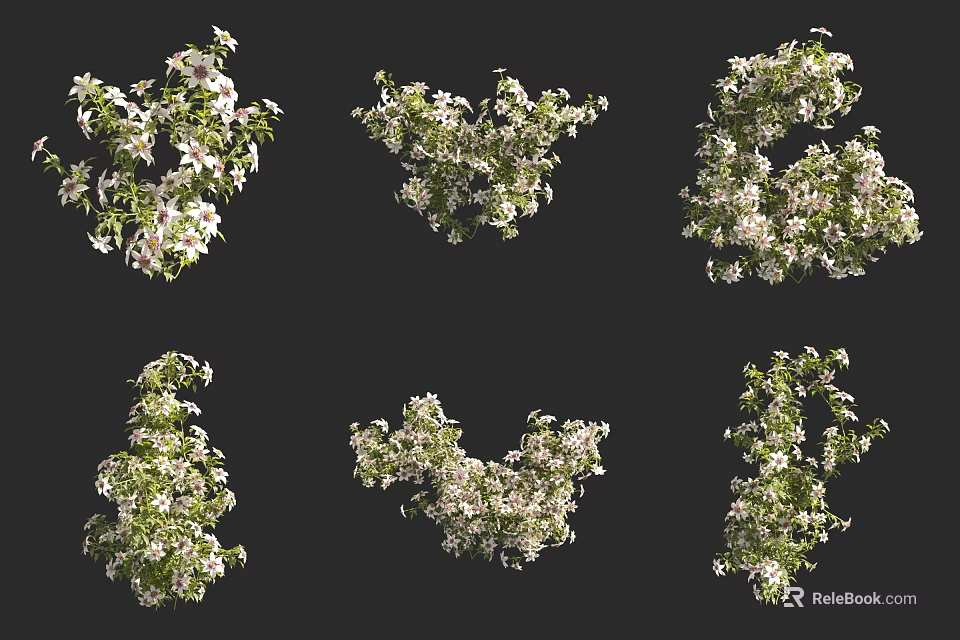Blooming Floral Branches With White Flowers And Green Leaves In Various Shapes 3d model 