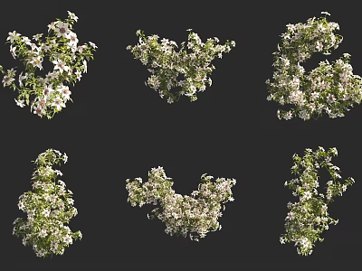 Blooming Floral Branches With White Flowers And Green Leaves In Various Shapes 3d model