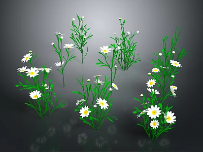 Multiple Daisies With White Petals Yellow Centers And Green Stems On Dark Background 3d model