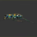 Vibrant Colorful Insect With Green Blue Yellow Patterns And Long Legs On Dark Background