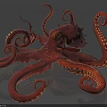 Red Octopus With Curled Tentacles And Suction Cups Underwater Marine Creature