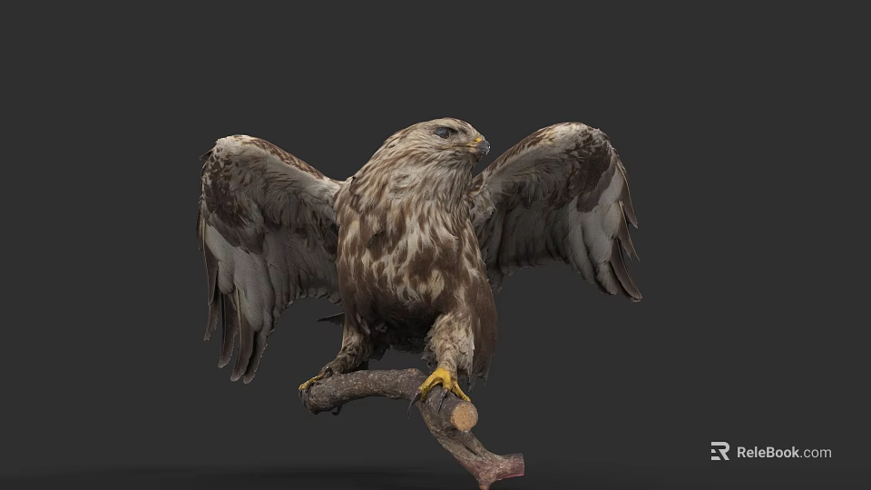 Majestic Eagle With Spread Wings Perched On Wooden Branch Showing Detailed Feathers 3d model 