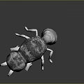 Detailed 3D Wasp Model With Black And Yellow Stripes And Transparent Wings