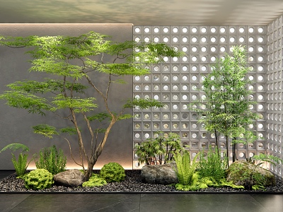 Modern courtyard plant landscape sketch interior landscape landscaping plant maple fern stone 3d model