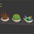 Potted Cactus And Aloe Vera Plants Arranged On Dark Tray With Small Dots