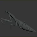 Detailed 3D Mantis Model with Realistic Body Structure on Gray Background and Reflective Surface