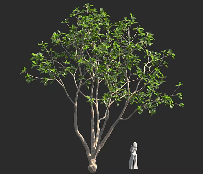 Tall Tree With Lush Green Leaves Standing Beside White Garden Statue 3d model