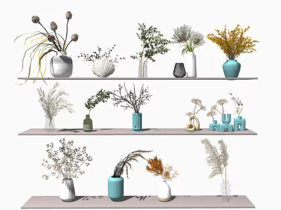Elegant Vases With Dried Flowers And Green Leaves On Multiple Shelves For Interior Decor 3d model