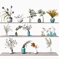Elegant Vases With Dried Flowers And Green Leaves On Multiple Shelves For Interior Decor