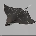 Spotted Stingray With Brown Body And White Dots Swimming Underwater