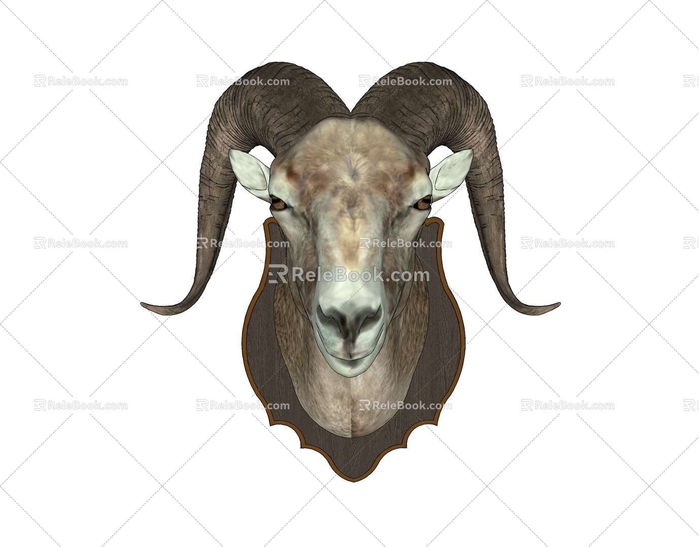 Sheephead Wall Decoration 3d model