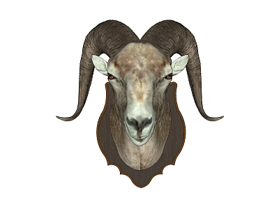 Decorative Ram Head Animal Wall Decor for Home Living Room Hanging Decoration 3d model