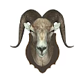 Decorative Ram Head Animal Wall Decor for Home Living Room Hanging Decoration