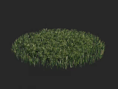 Lush Green Circular Grass Area With Natural Fresh Foliage And Dense Growth 3d model