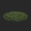 Lush Green Circular Grass Area With Natural Fresh Foliage And Dense Growth