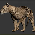 Thylacine 3D Model With Brown Body And Black Stripes Standing On Dark Background With Reflection