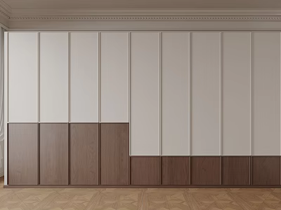 Modern Built in Wardrobe Design With Light Panels And Dark Wooden Panels For Home Interior 3d model
