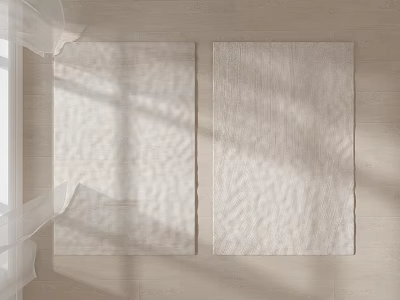 Two Light Colored Square Rugs Lying On Wooden Floor With Sunlight Shadows 3d model