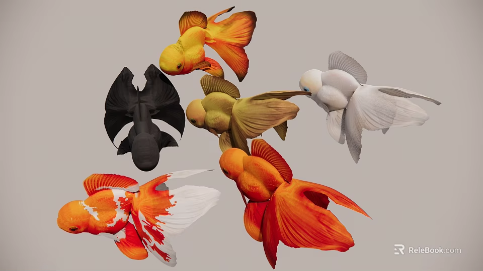 Ornamental Aquarium Fish of Various Colors Including Red Black White Yellow Varieties for Home 3d model 
