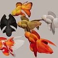 Ornamental Aquarium Fish of Various Colors Including Red Black White Yellow Varieties for Home