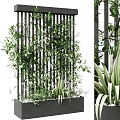 Climbing Vines Growing on Black Metal Trellis with Lush Green Foliage in Modern Planter Box