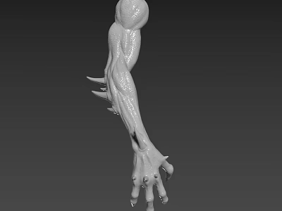 3D Rendered Creature Arm Featuring Muscular Texture And Sharp Claws Design 3d model