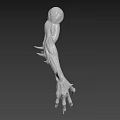 3D Rendered Creature Arm Featuring Muscular Texture And Sharp Claws Design
