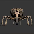 Giant Beetle With Textured Shell Long Snout And Multiple Legs On Dark Reflective Surface 3d model