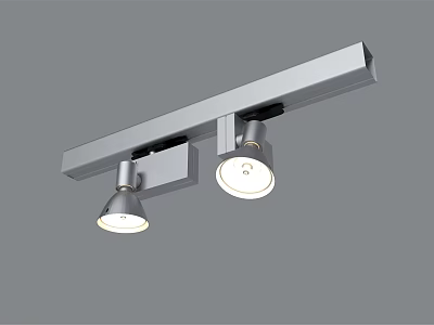 Modern Adjustable Track Spotlight With Two LED Heads In Silver Finish 3d model