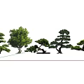Various Arbor Types Displaying Different Shapes Green Leaves And Pruned Structures 3d model