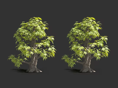 Two Lush Green Arbor Trees With Leafy Foliage And Brown Trunks 3d model