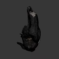 Ancient Animal Skull From Australian National University Archaeology And Digital Humanities