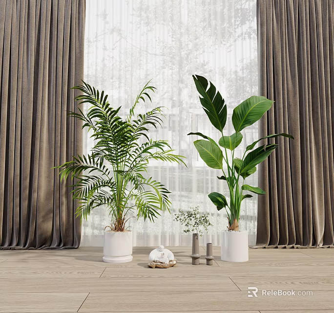 Indoor Potted Plants With Large Green Leaves In White Planters By Window On Wooden Floor 3d model 