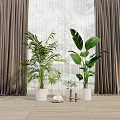 Indoor Potted Plants With Large Green Leaves In White Planters By Window On Wooden Floor