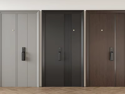 Modern Security Doors in Three Colors Gray Black Brown for Home Safety Design 3d model
