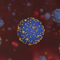 Virus Particles And Red Blood Cells In Microscopic Blood Stream View