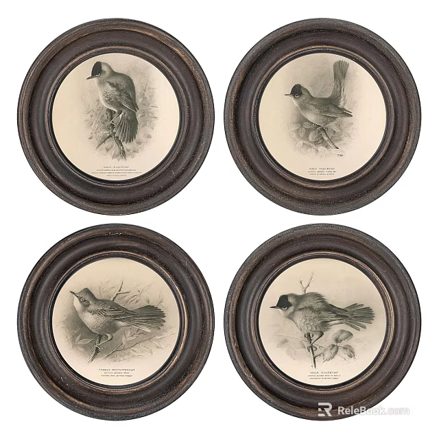 Vintage Circular Framed Bird Paintings In Black And White Wall Decor Set 3d model 
