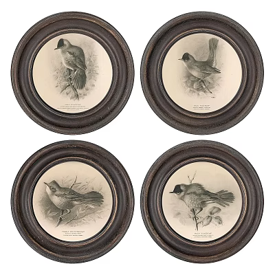 Vintage Circular Framed Bird Paintings In Black And White Wall Decor Set 3d model