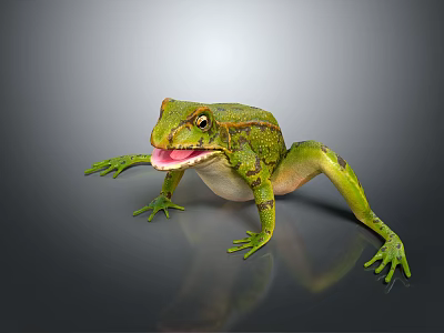 Green Frog With Open Mouth On Gray Background Detailed Texture Vibrant Reflection 3d model