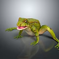Green Frog With Open Mouth On Gray Background Detailed Texture Vibrant Reflection 3d model