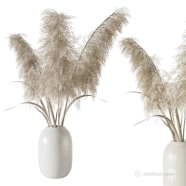 Modern White Vases With Pampas Grass For Stylish Home Interior Decor 3d model 