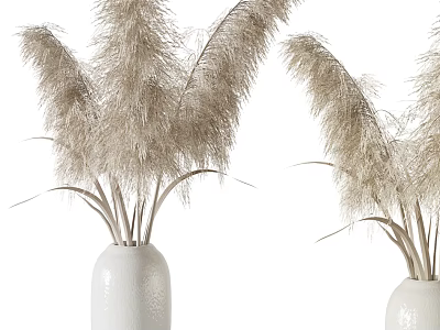 Modern White Vases With Pampas Grass For Stylish Home Interior Decor 3d model
