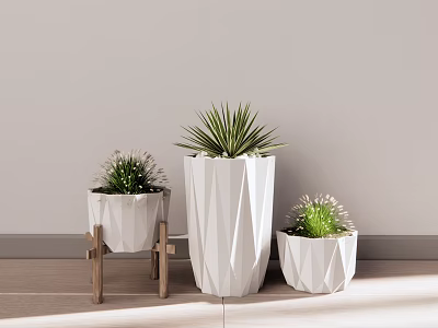 Three White Polygonal Design Bonsai Pots on Wooden Stand for Indoor Decor 3d model