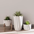 Three White Polygonal Design Bonsai Pots on Wooden Stand for Indoor Decor