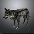 3D Render Of Gray And White Spotted Wolf With Open Mouth Standing On Dark Background